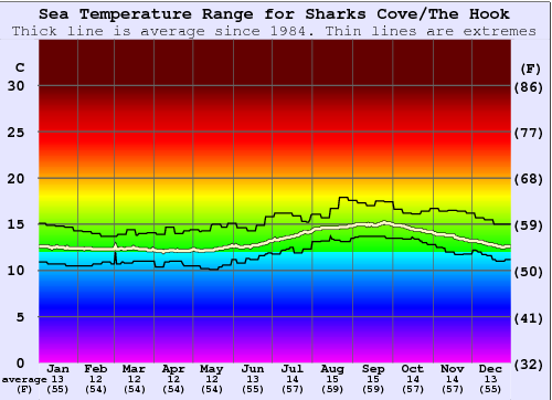Sharks Cove/The Hook Gráfico de Temperatura del Mar