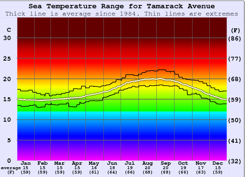 Tamarack Avenue Gráfico de Temperatura del Mar