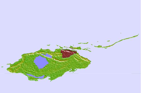 Surf spots cercanos a Paradise Island