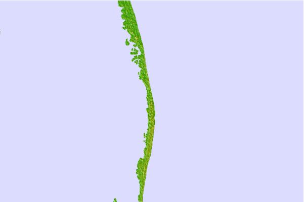Surf spots cercanos a S-Turns