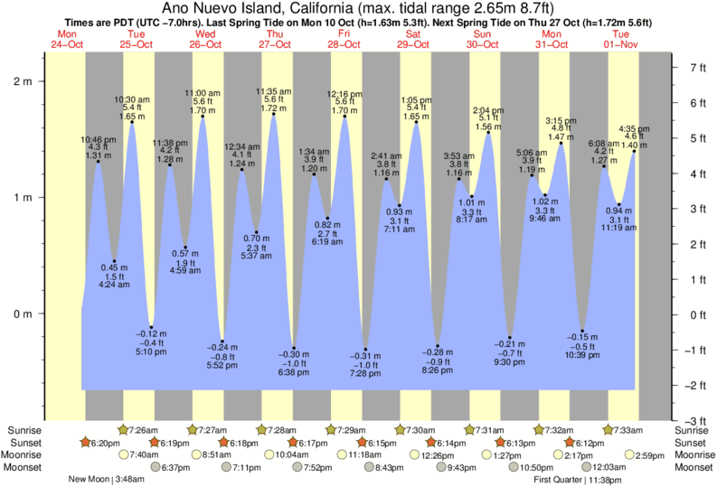 Gráfico de marea para Ano Nuevo Island, California cerca del spot de Scott Creek-Beach