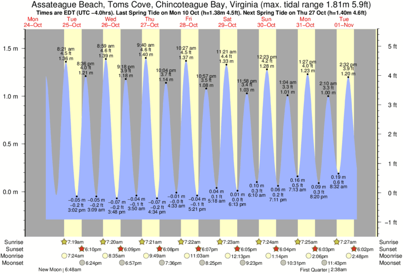 Gráfico de marea para Assateague Beach, Toms Cove, Chincoteague Bay, Virginia cerca del spot de Out Front
