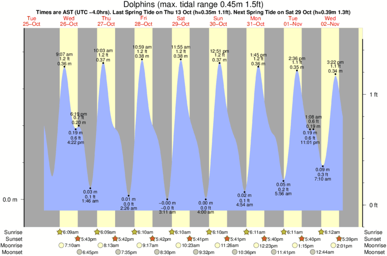 Gráfico de mareas para el spot de Dolphins