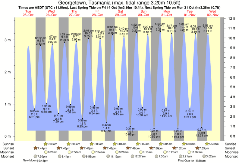 Gráfico de marea por Tam O'Shanter cerca a Tam O'Shanter surf break