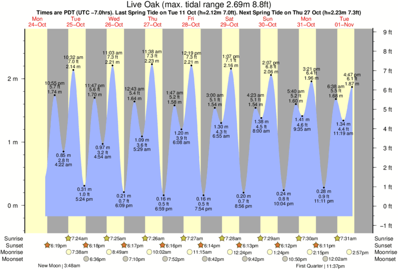 Gráfico de marea para Live Oak cerca del spot de Capitola Rivermouth