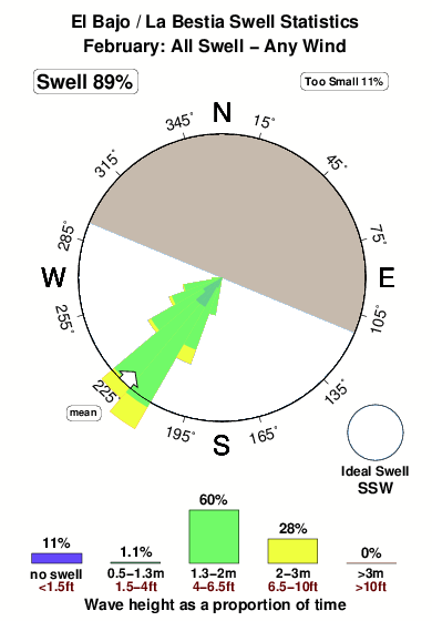 La bestia.surf.statistics.february