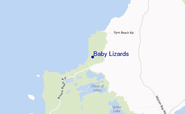 mapa de ubicación de Baby Lizards
