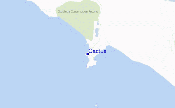 mapa de ubicación de Cactus