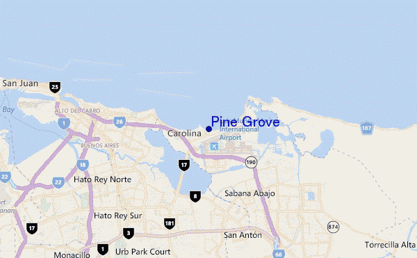 mapa de ubicación de Pine Grove