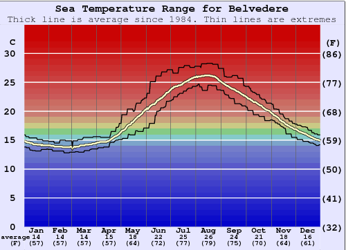 Belvedere Gráfico de Temperatura del Mar