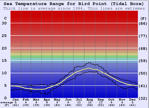 Bird Point (Tidal Bore) Gráfico de Temperatura del Mar