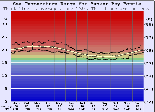 Bunker Bay Bommie Gráfico de Temperatura del Mar