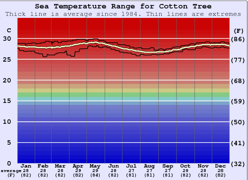 Cotton Tree Gráfico de Temperatura del Mar