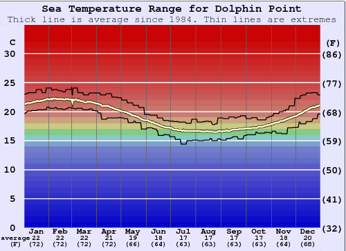 Dolphin Point Gráfico de Temperatura del Mar