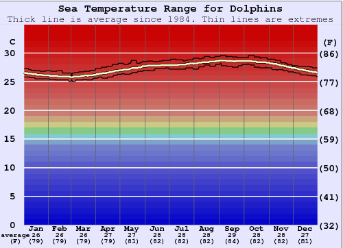 Dolphins Gráfico de Temperatura del Mar