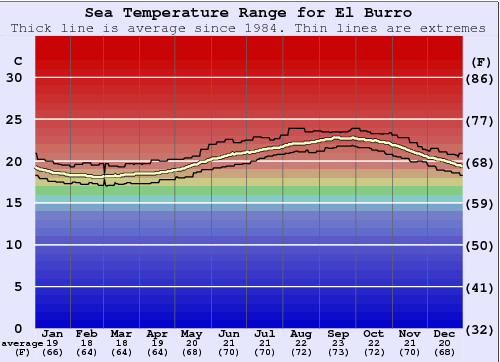 El Burro Gráfico de Temperatura del Mar