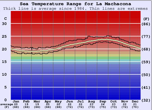 La Machacona Gráfico de Temperatura del Mar