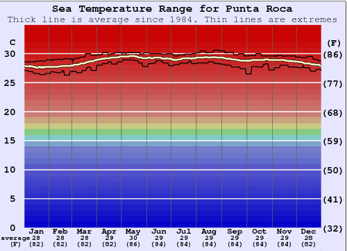 Punta Roca Gráfico de Temperatura del Mar