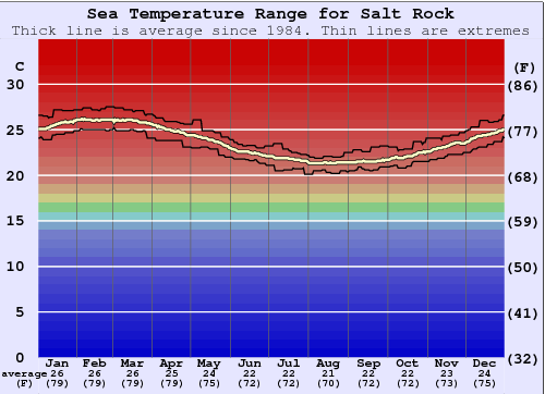 Salt Rock Gráfico de Temperatura del Mar