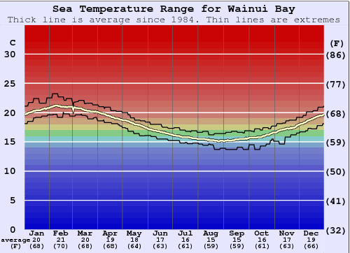 Wainui Bay Gráfico de Temperatura del Mar