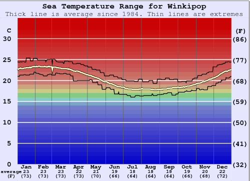 Winkipop Gráfico de Temperatura del Mar