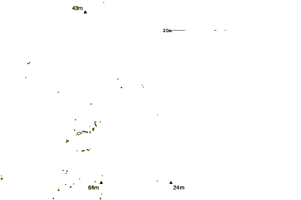Costa alrededor de Chernobyl