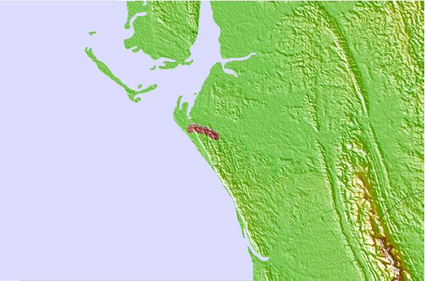 Surf spots cercanos a Cox's Bazar