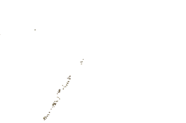 Costa alrededor de Punta Medanos
