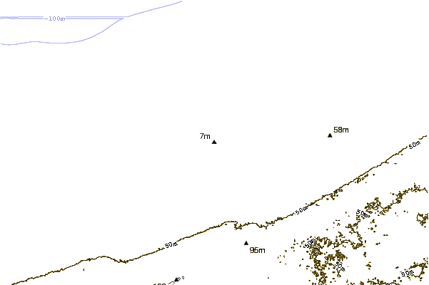 Costa alrededor de  Rowad Resort