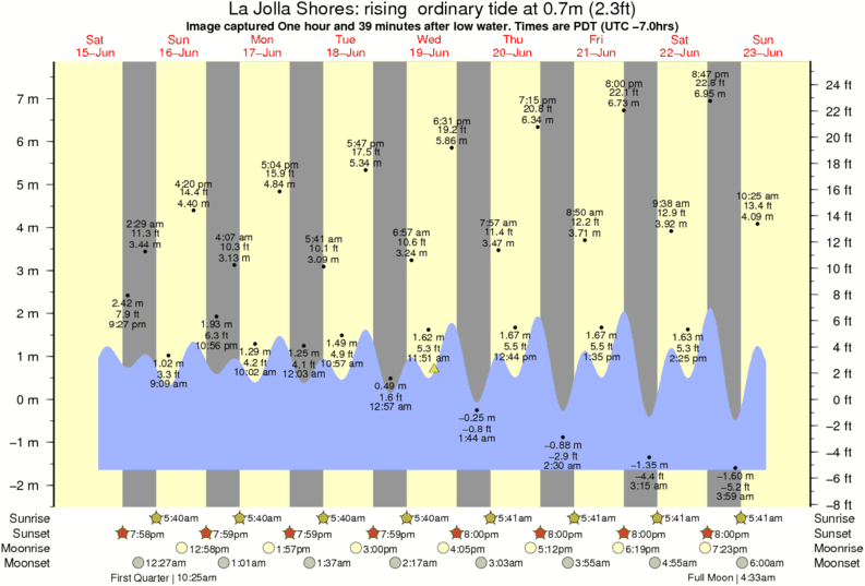 Fotos de Surf de La Jolla Shores por Amanda Rimmer 130 pm 19